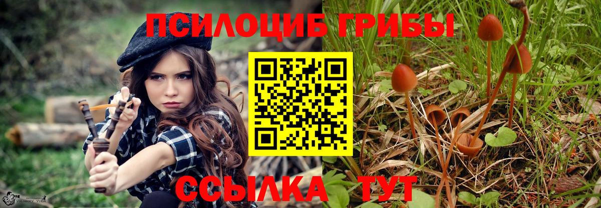 Псилоцибиновые грибы GOLDEN TEACHER Солнечногорск